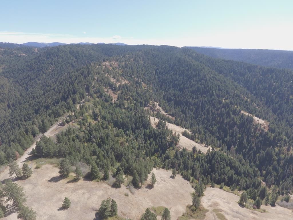 Waitsburg, Walla Walla County, WA Undeveloped Land for sale Property ID