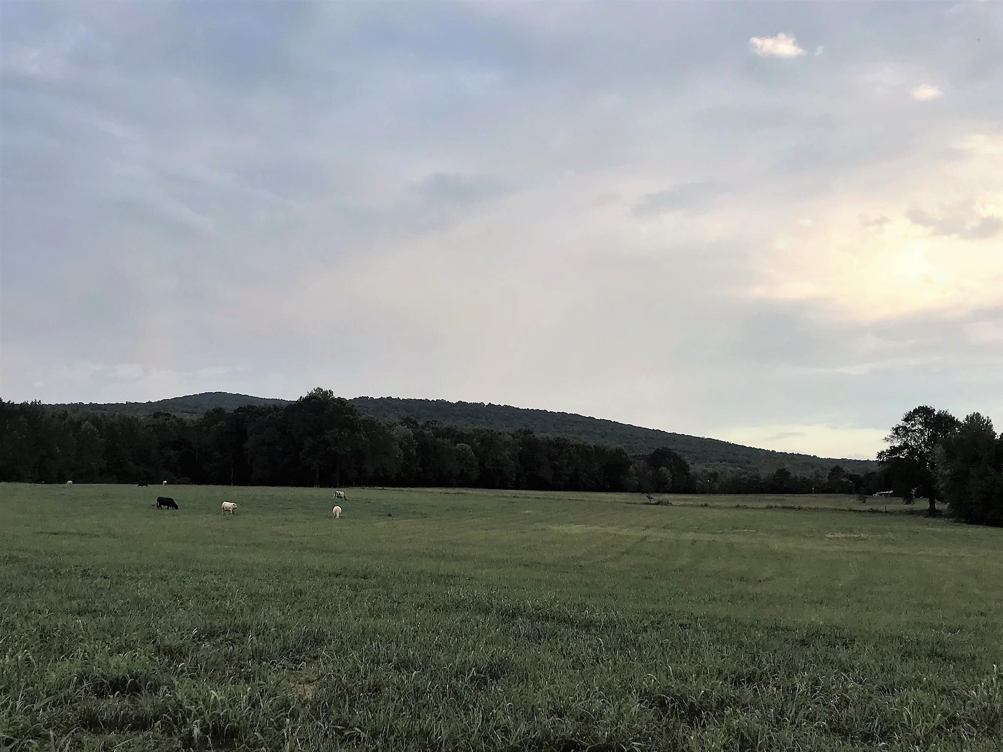 Elora, Lincoln County, TN Farms and Ranches for sale Property ID