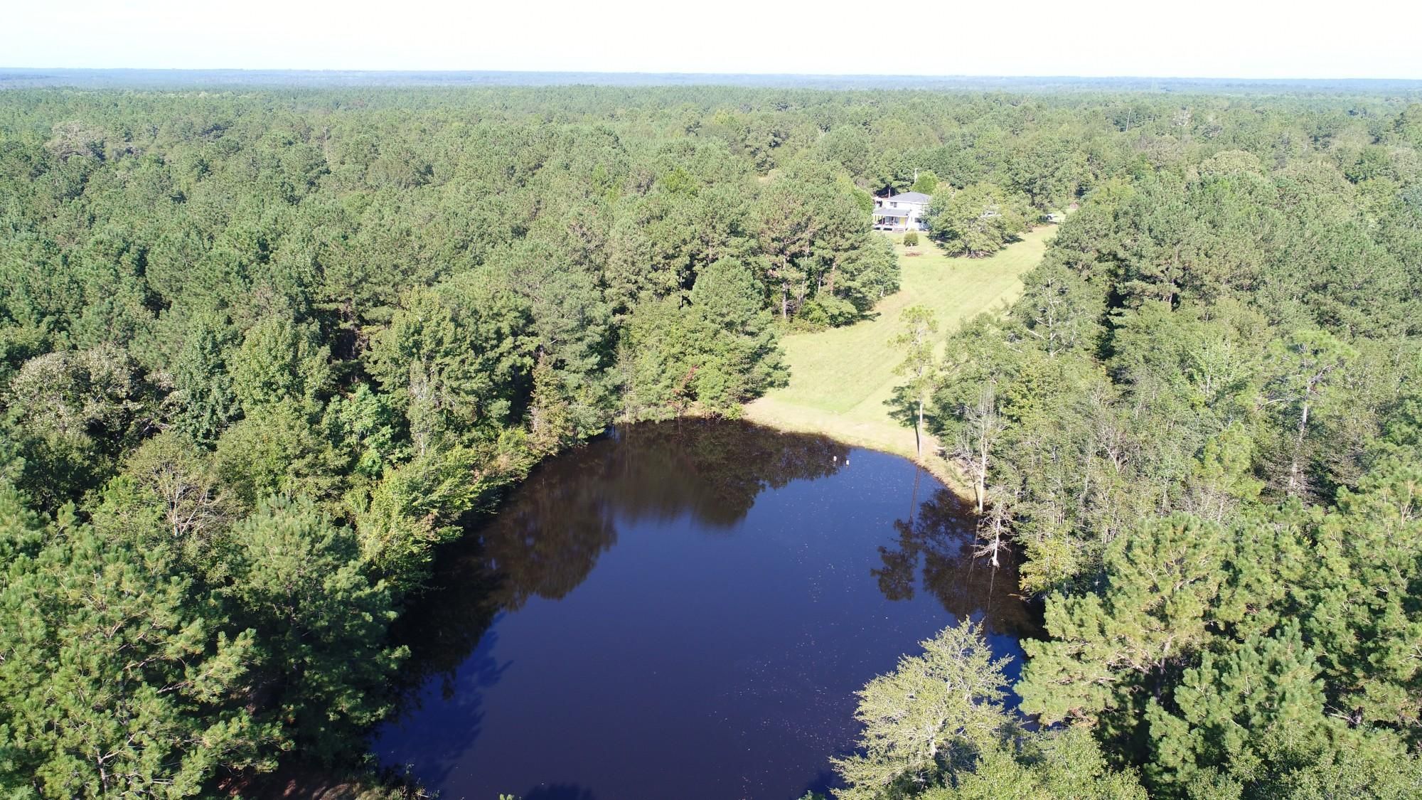 Repton, Conecuh County, AL Farms and Ranches, Timberland Property