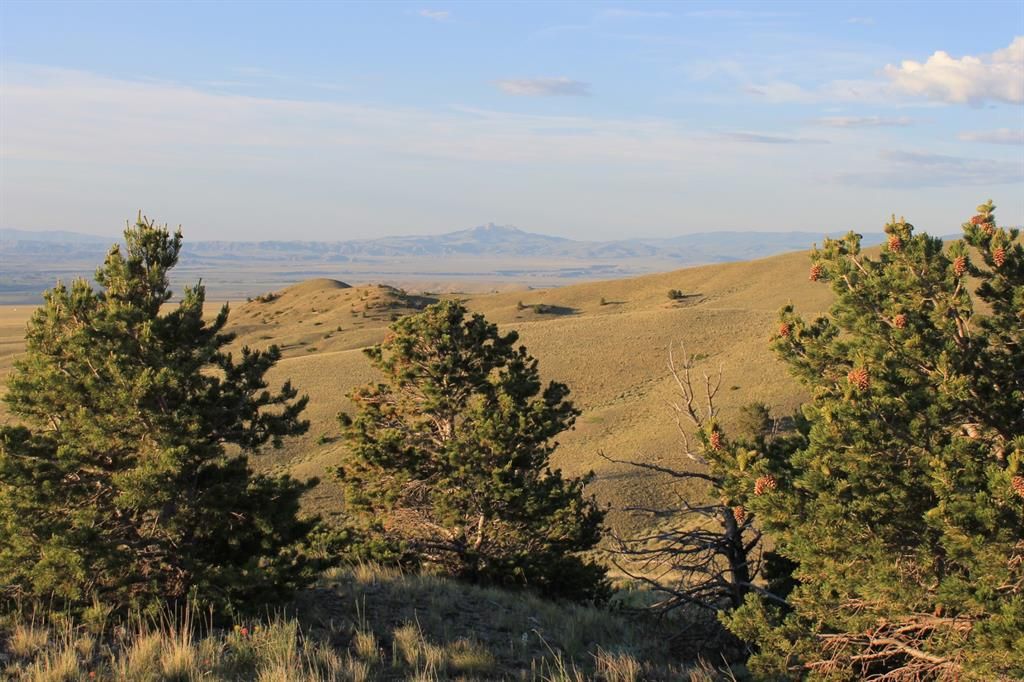 Belfry, Carbon County, MT Undeveloped Land for sale Property ID