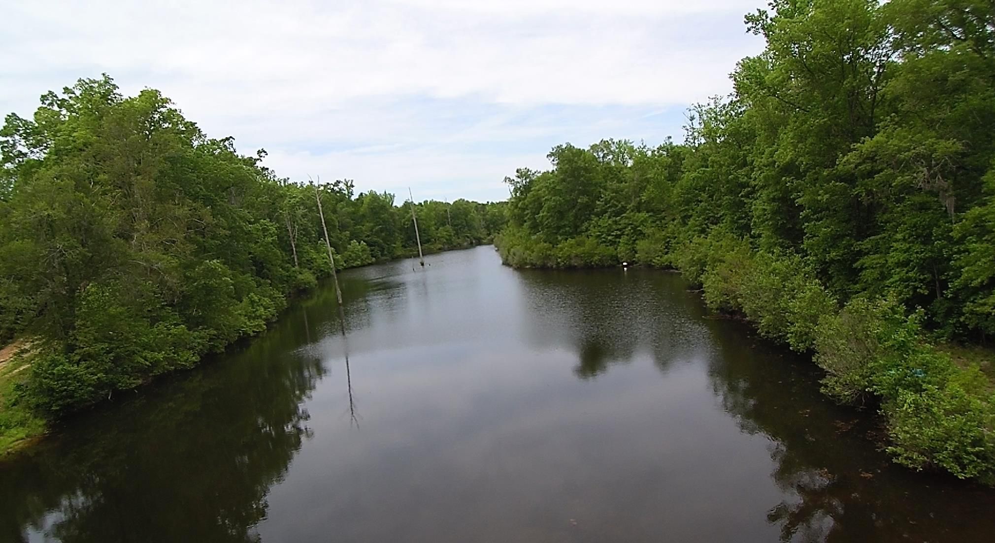 Waynesboro Burke County GA Recreational Property Timberland Property 
