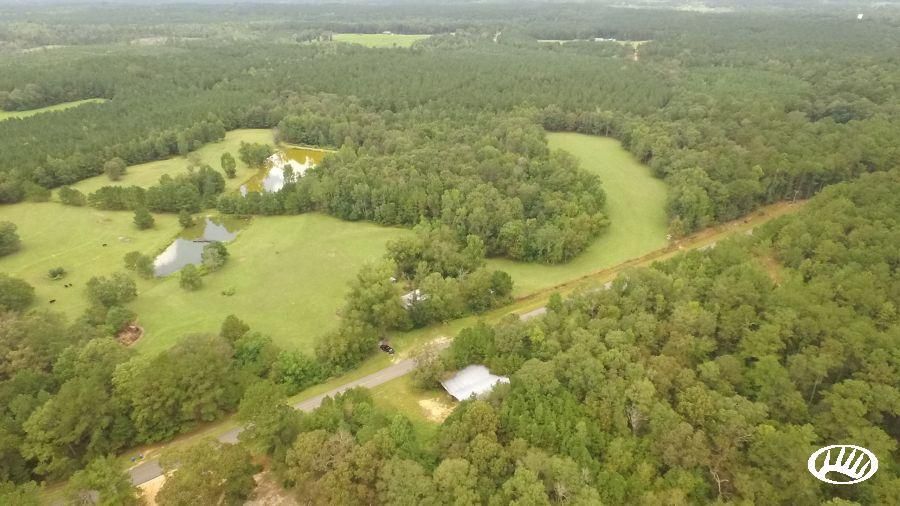 Millry, Washington County, AL Farms and Ranches, Recreational Property
