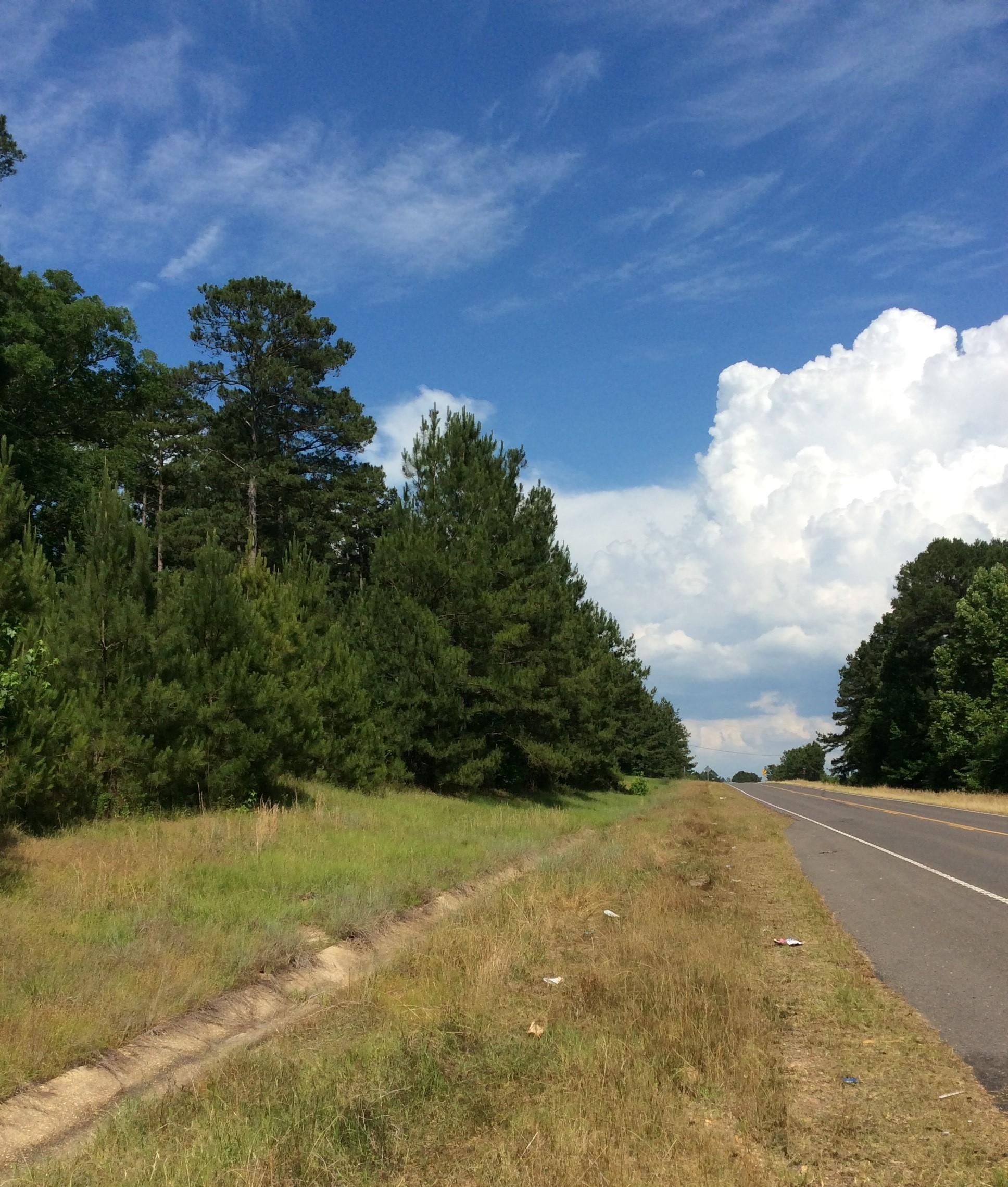 Jena, La Salle Parish, LA Recreational Property, Hunting Property for