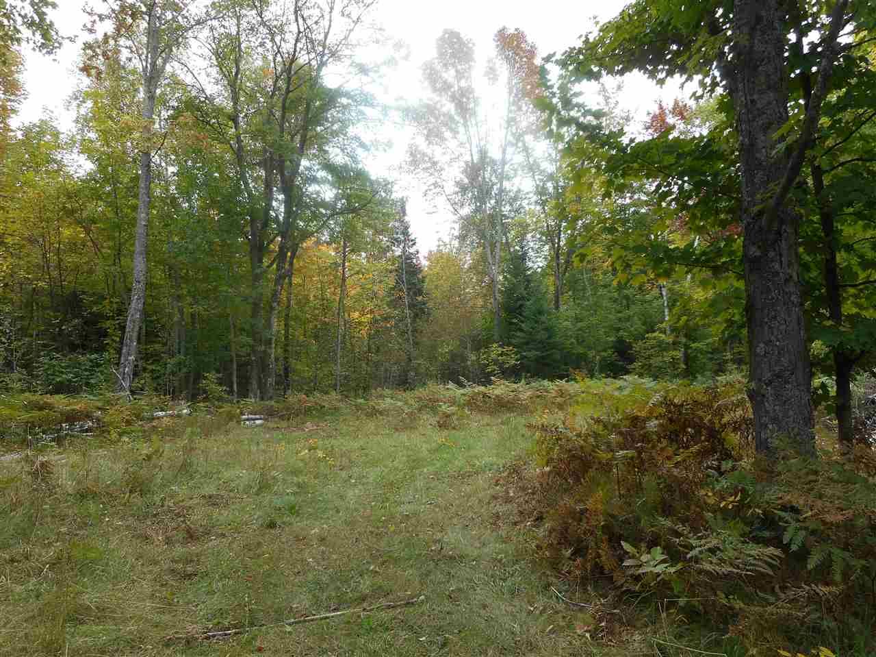 Ontonagon, Ontonagon County, MI Undeveloped Land for sale Property ID