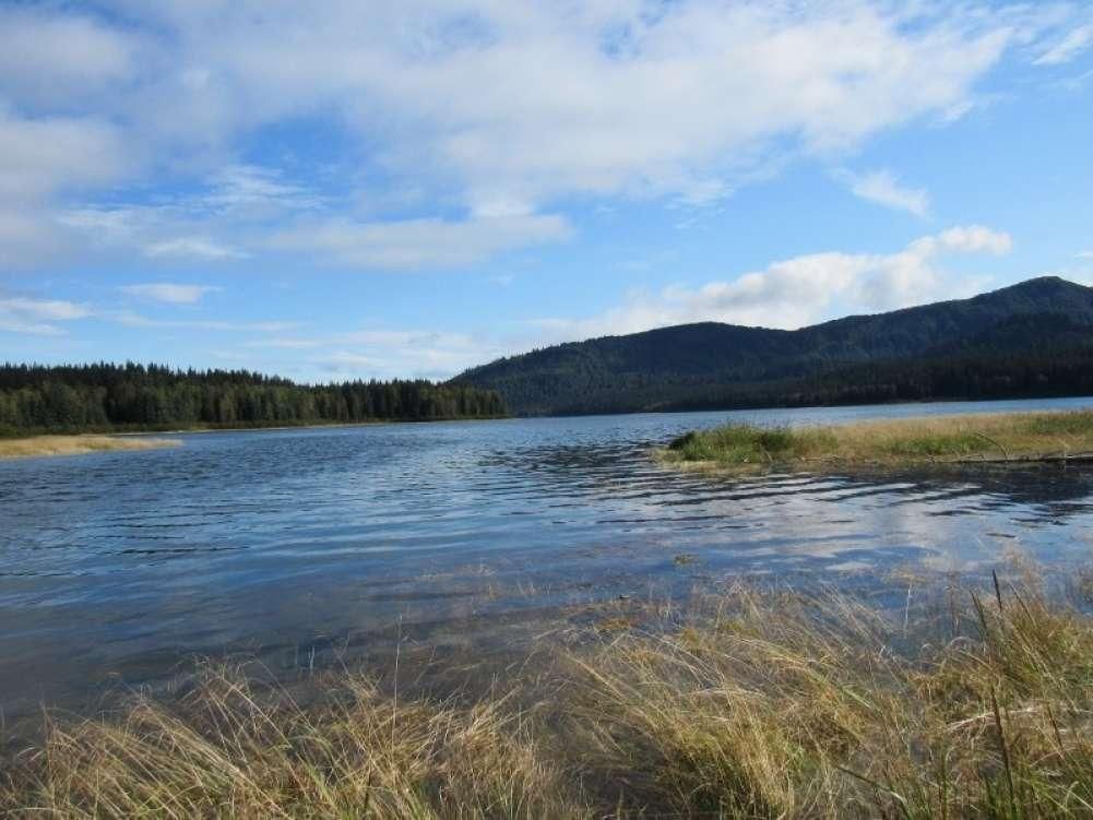 Gustavus, Hoonah Angoon Census Area Borough, AK Recreational Property