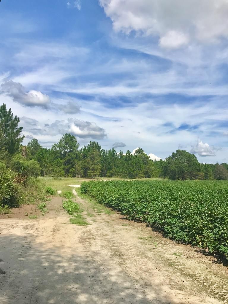 Cordele, Crisp County, GA Farms and Ranches for sale Property ID