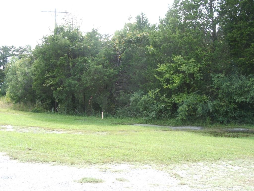 Meherrin, Prince Edward County, VA Undeveloped Land for sale Property