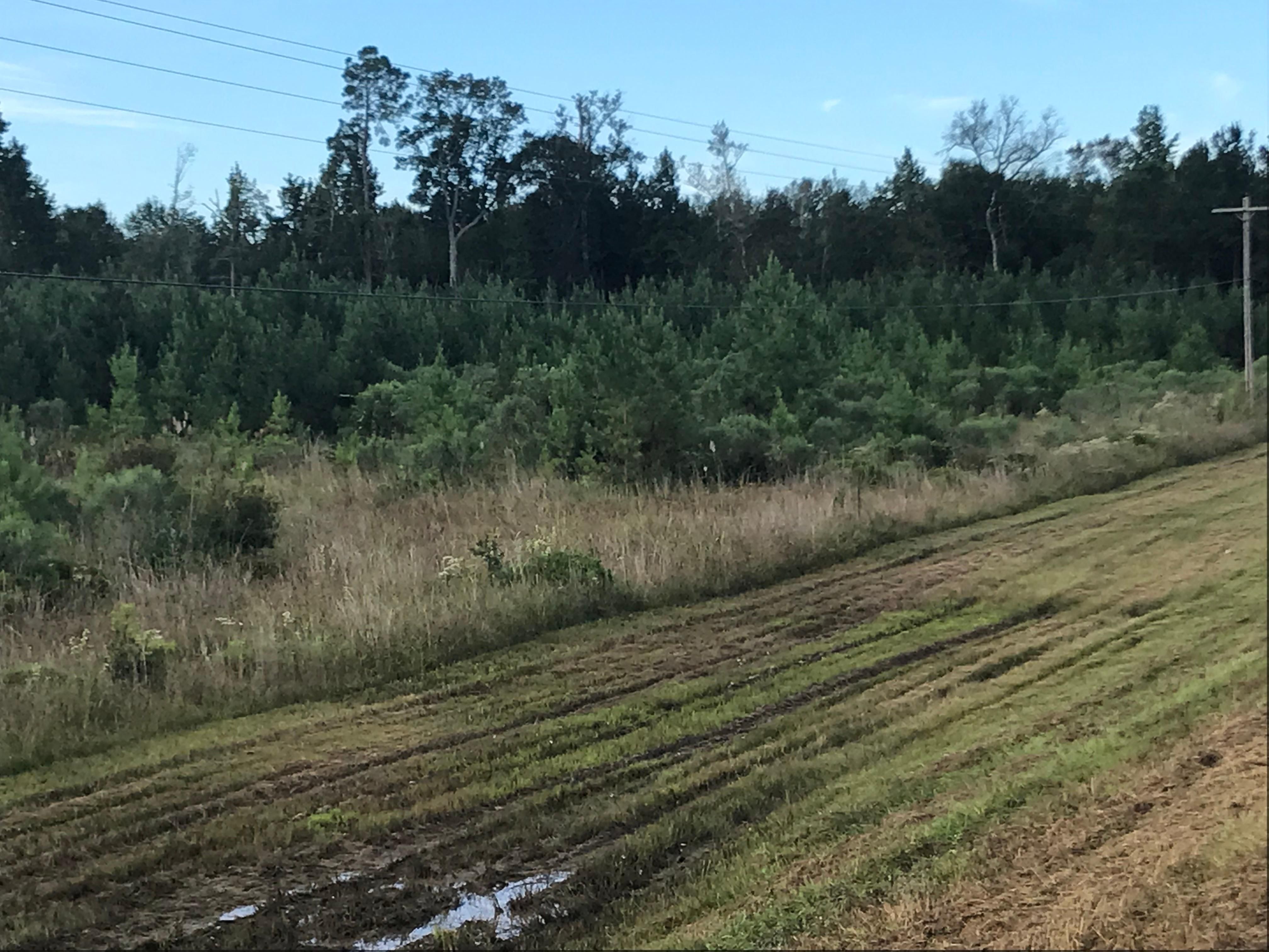 Millen, Jenkins County, GA Timberland Property, Hunting Property for