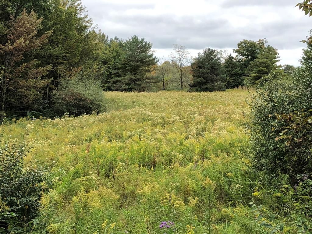 Waverly, Tioga County, NY Undeveloped Land for sale Property ID