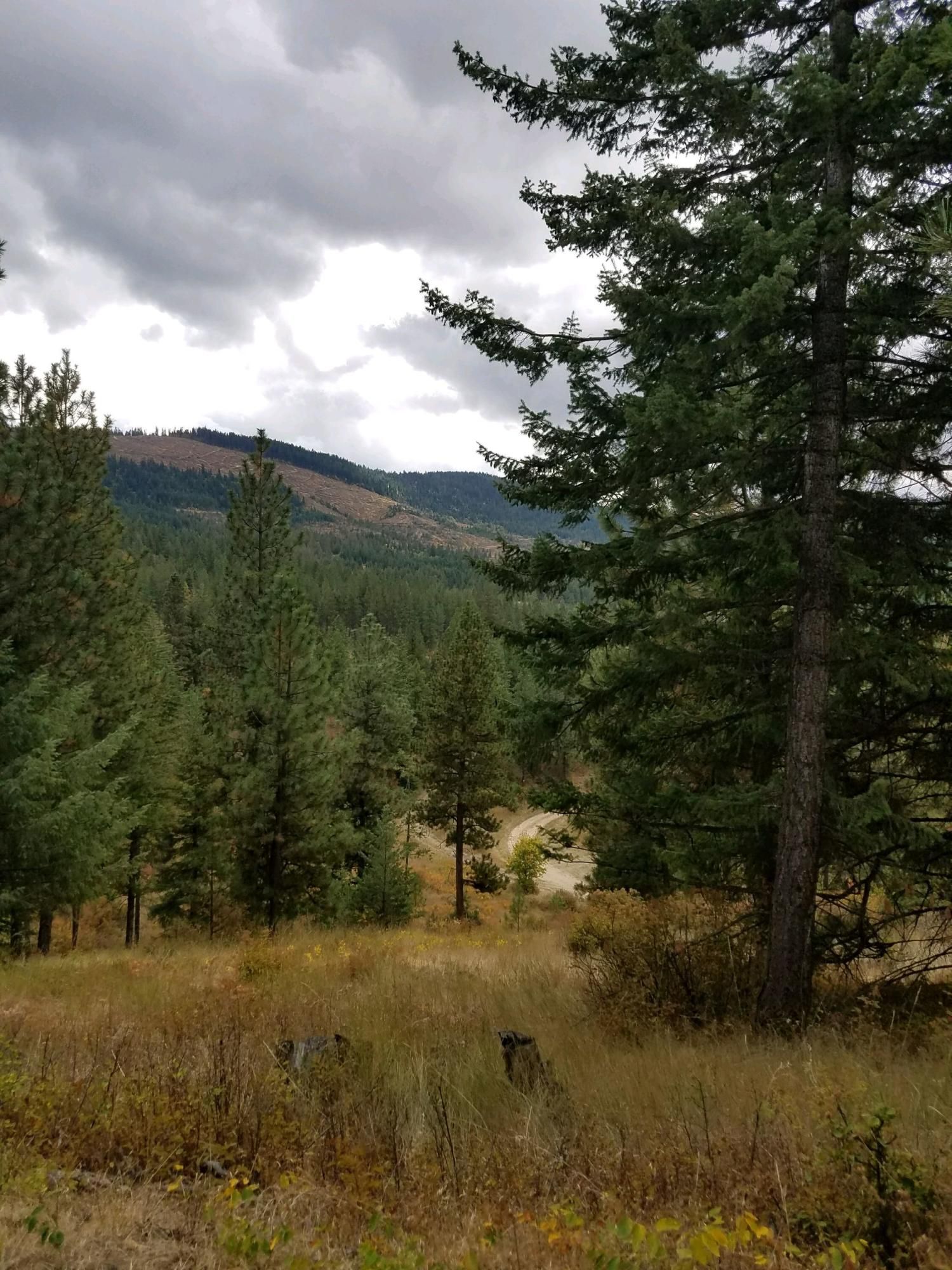 Desmet, Benewah County, ID Undeveloped Land for sale Property ID