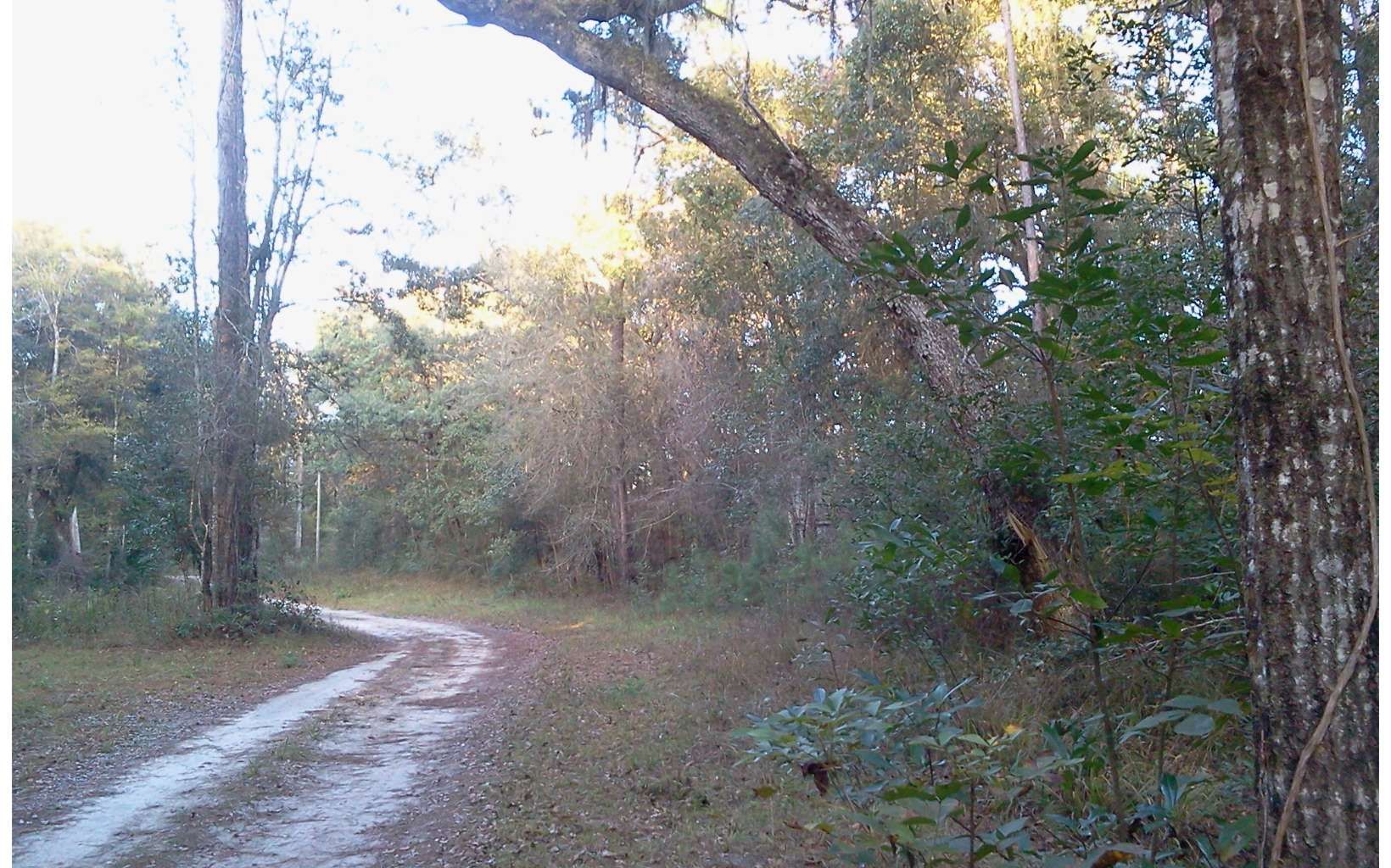 Mayo, Lafayette County, FL Undeveloped Land, Homesites for sale