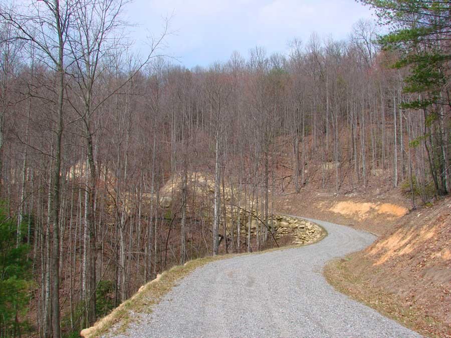 Millers Creek, Wilkes County, NC Timberland Property, Undeveloped Land