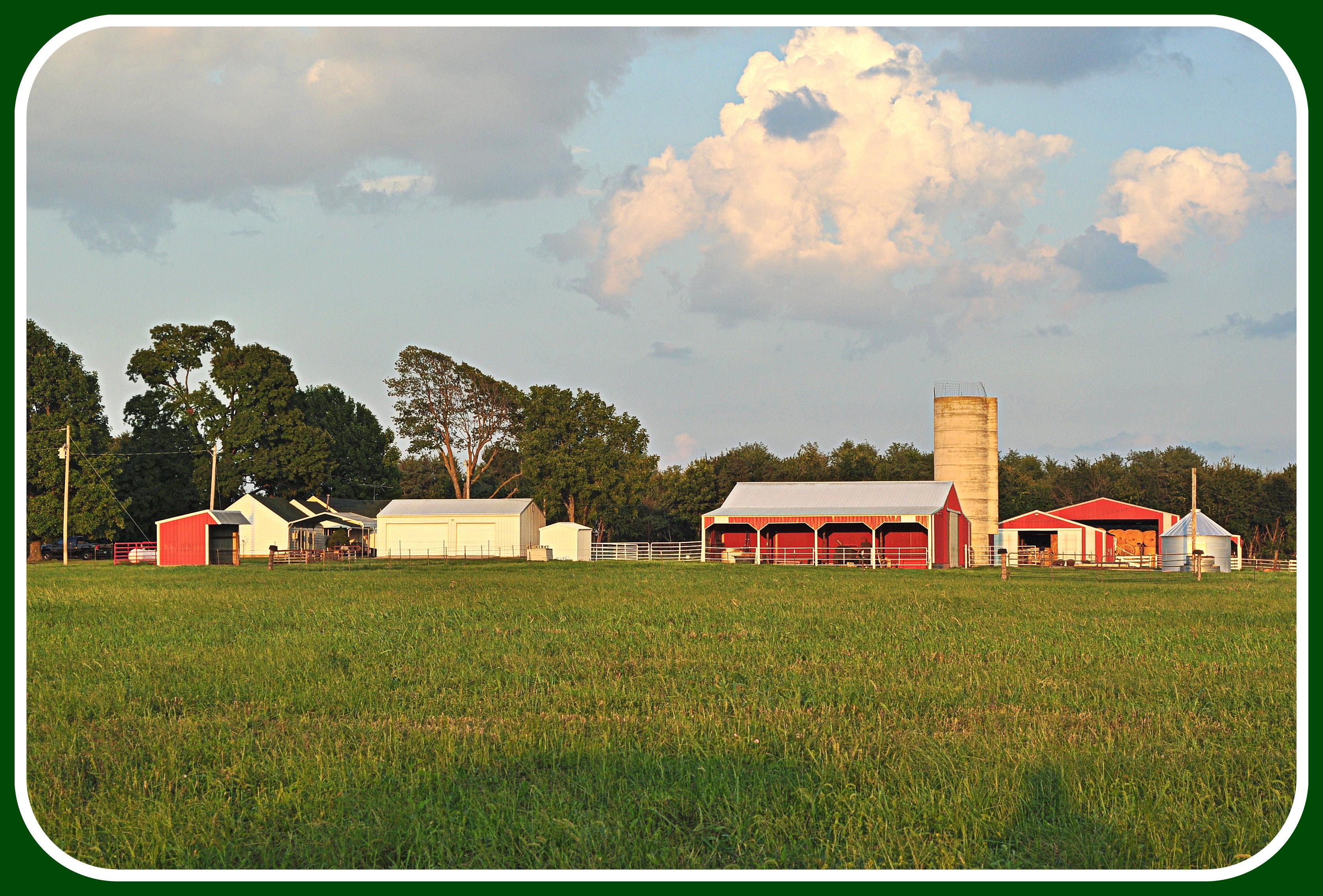 Ash Grove, Greene County, MO Farms and Ranches for sale Property ID