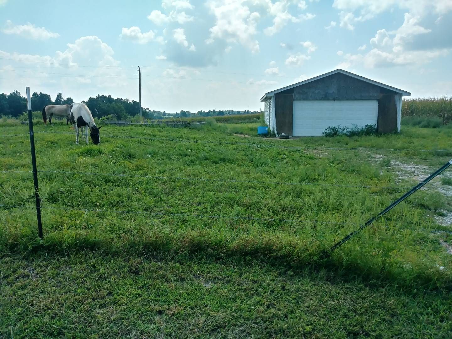 Campbellsville, Taylor County, KY Undeveloped Land, Homesites for sale Property ID 333081201