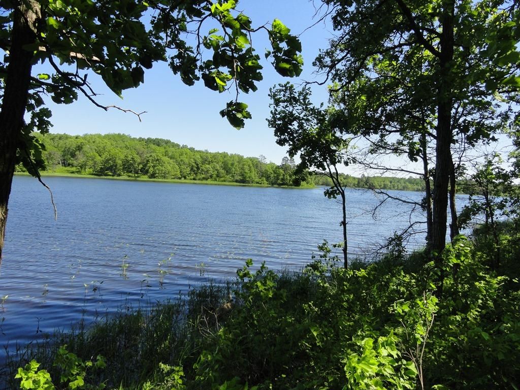 Pine River, Cass County, MN Undeveloped Land, Lakefront Property