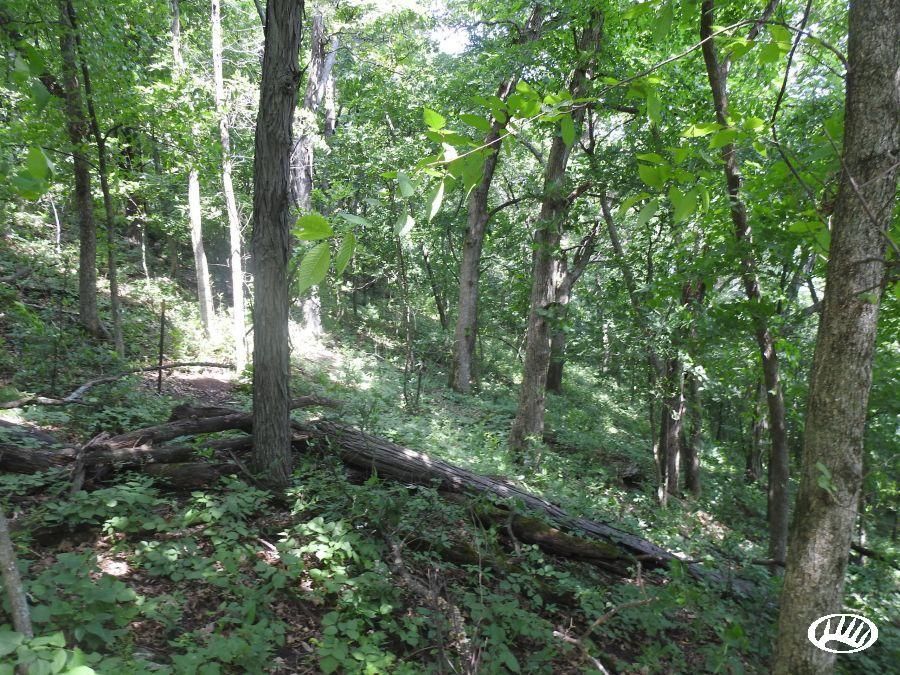 Lansing, Allamakee County, IA Recreational Property, Undeveloped Land