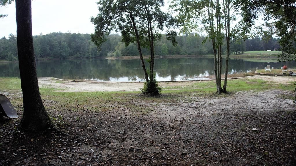 Trenton, Edgefield County, SC Undeveloped Land for sale Property ID