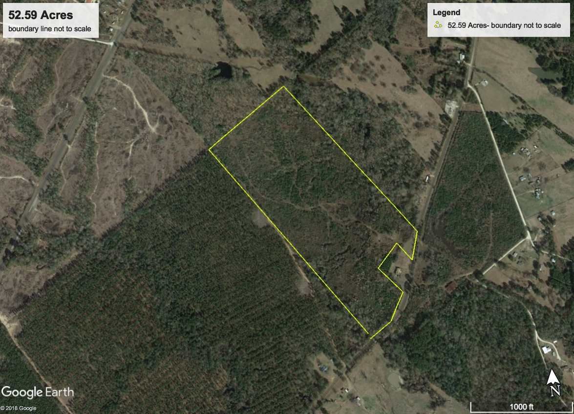 Broaddus, San Augustine County, TX Undeveloped Land for sale Property