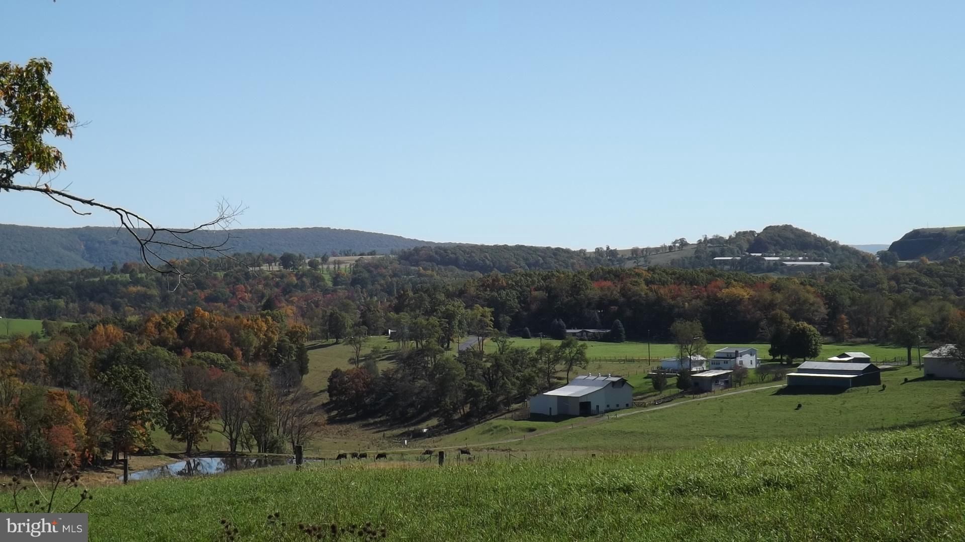 Moorefield, Hardy County, WV Undeveloped Land for sale Property ID