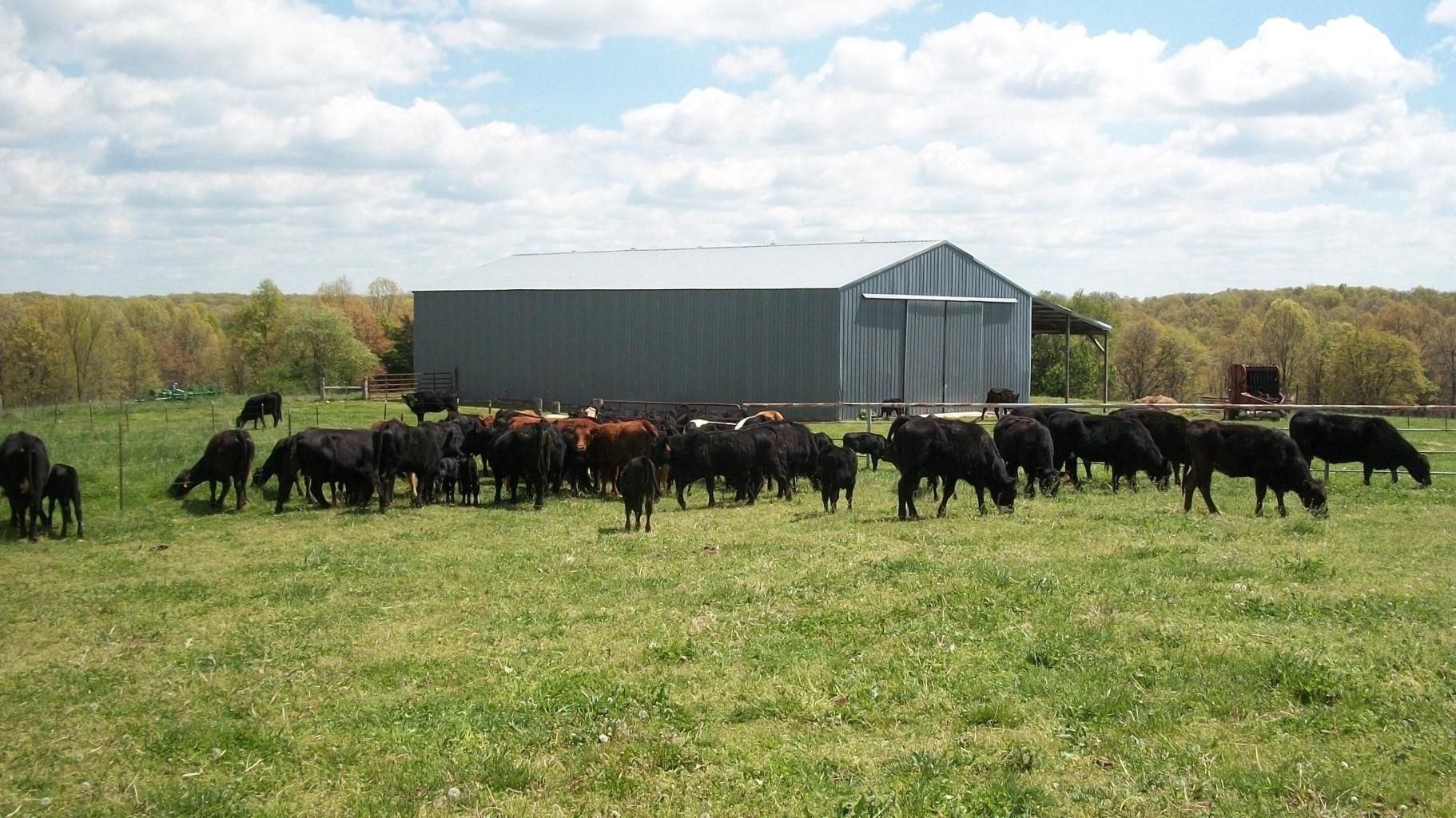 Hartville, Wright County, MO Farms and Ranches, House for sale Property ID 333088123 LandWatch