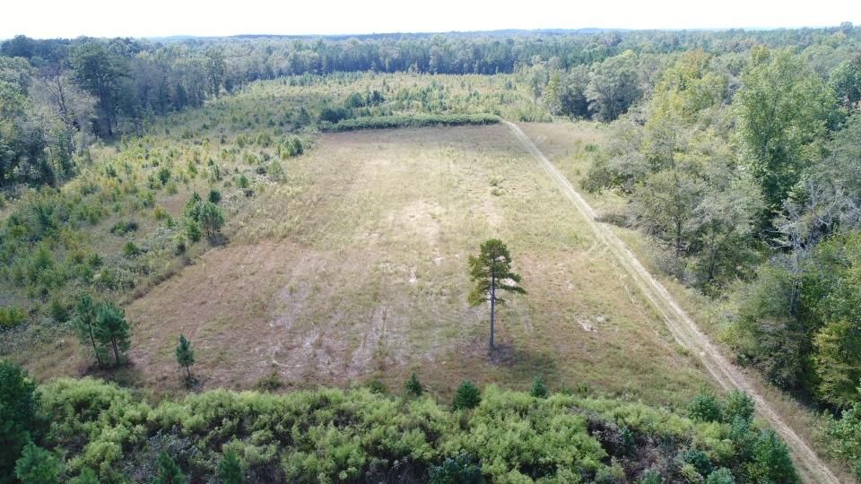Hurtsboro, Barbour County, AL Recreational Property, Timberland