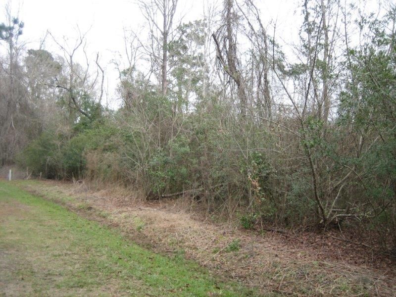 Walterboro, Colleton County, SC Undeveloped Land, Homesites for sale