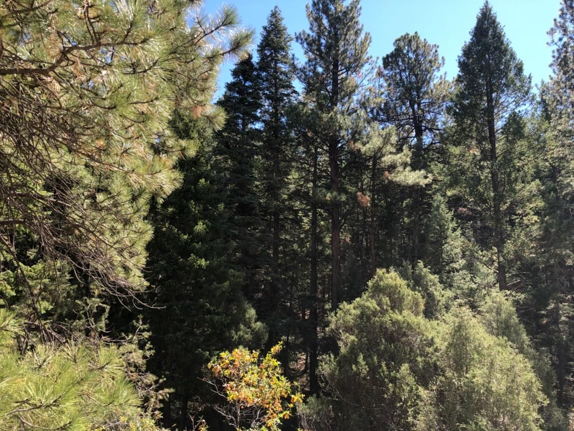 Vadito, Taos County, NM Undeveloped Land for sale Property ID