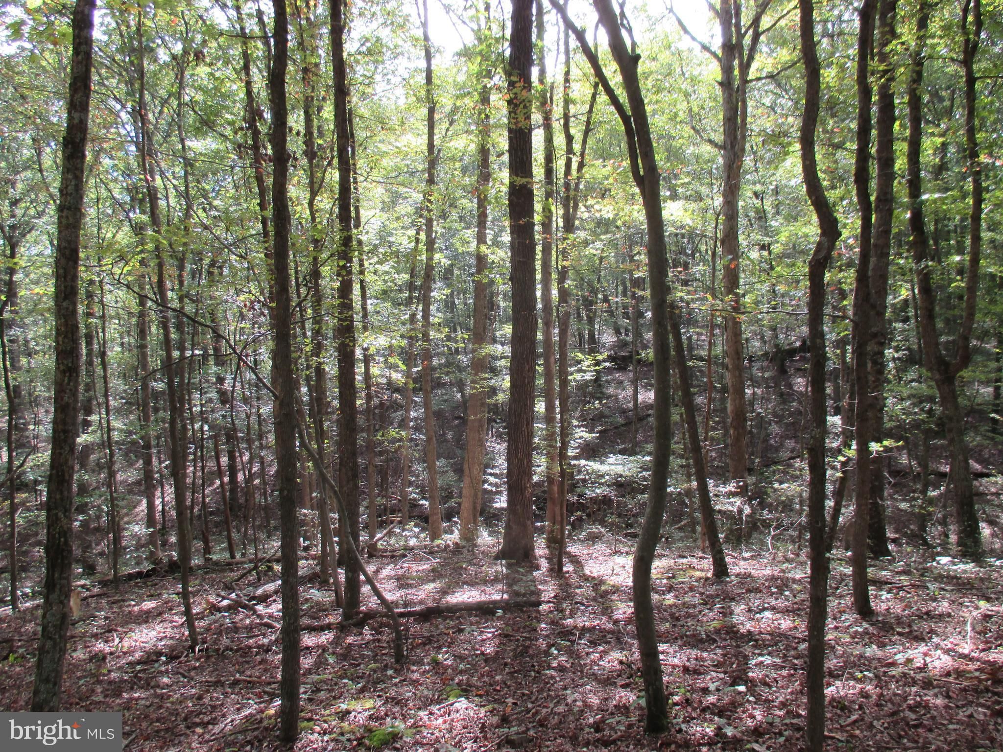 Fisher, Hardy County, WV Undeveloped Land for sale Property ID