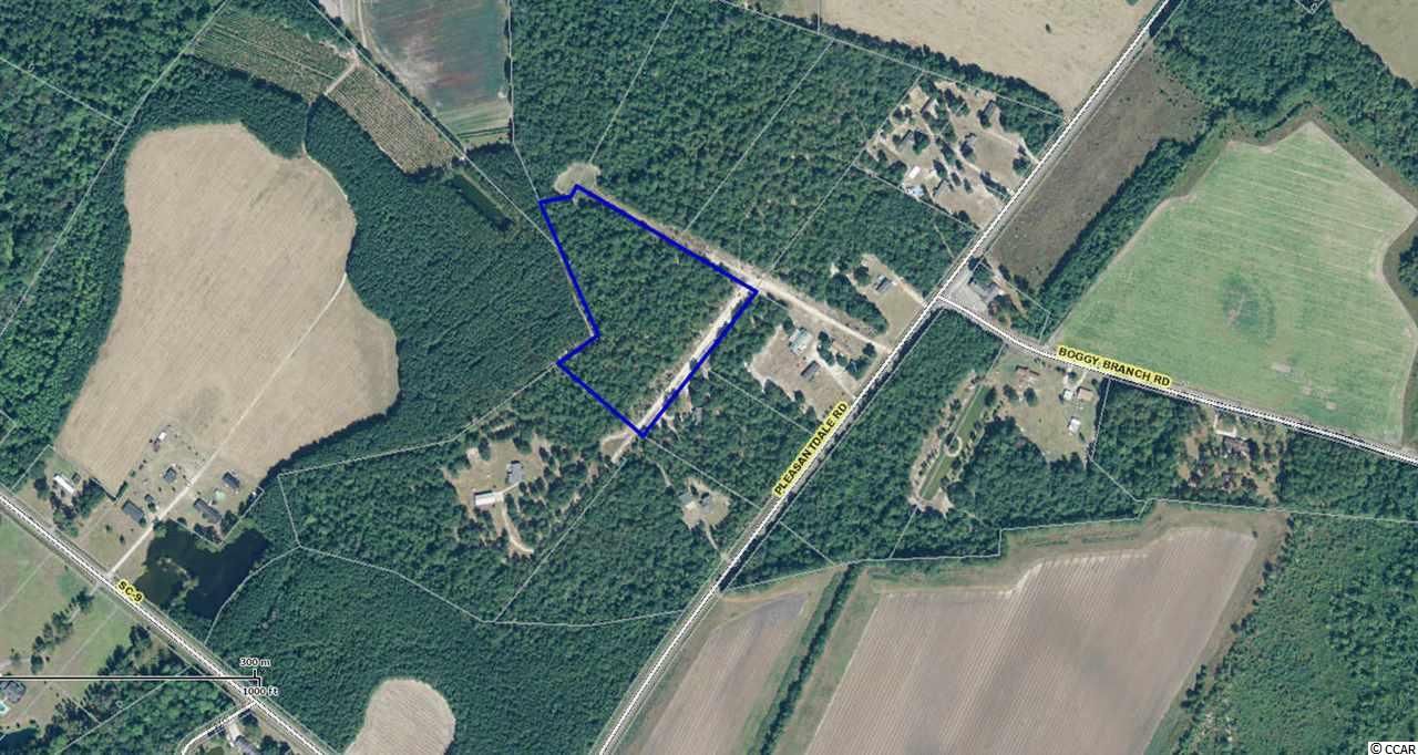 Nichols, Horry County, SC Undeveloped Land for sale Property ID
