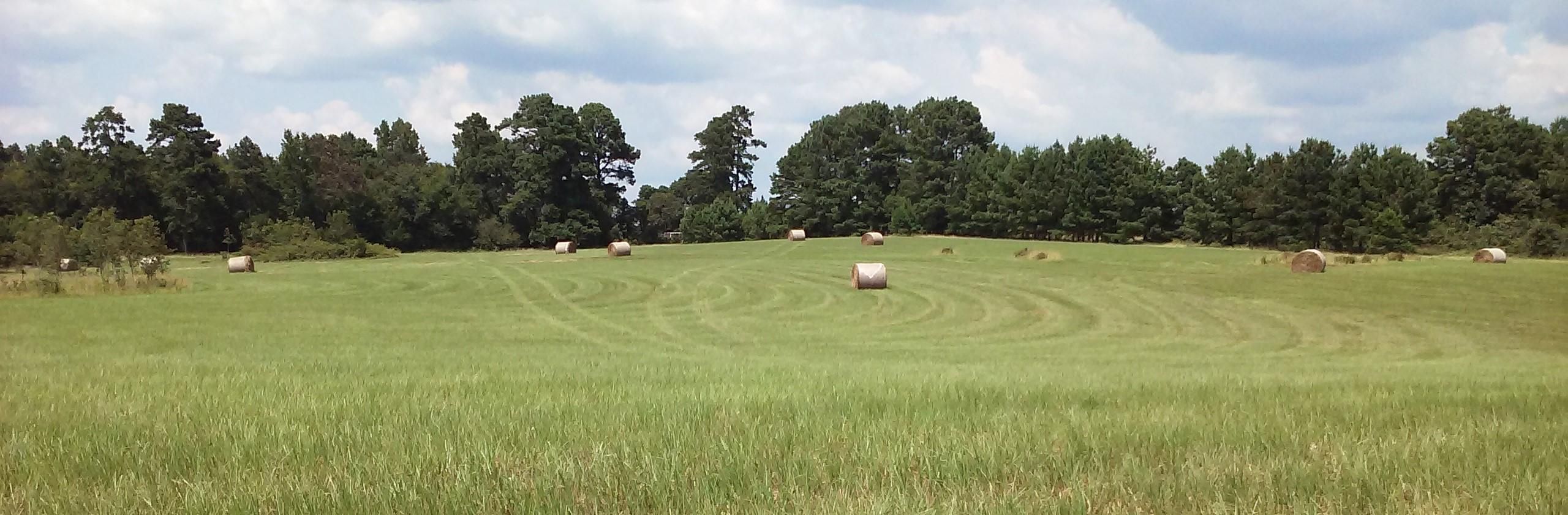 Jacksonville, Cherokee County, TX Recreational Property, Horse Property