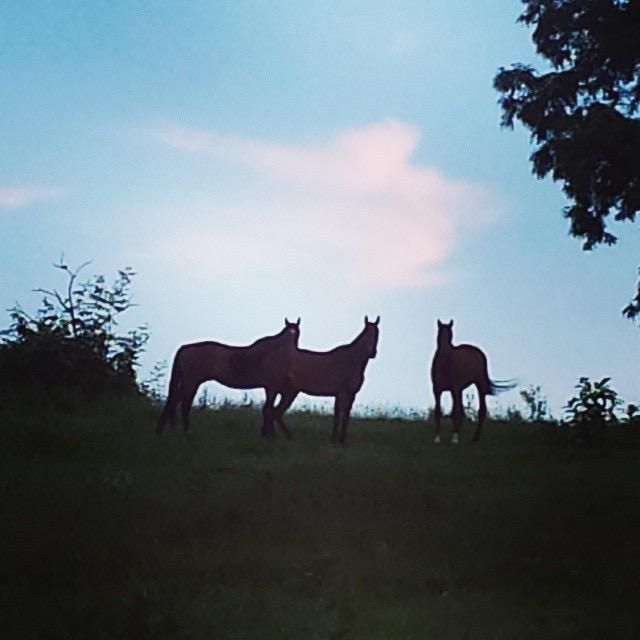 Lebanon, Lebanon County, PA Farms and Ranches, Horse Property, House