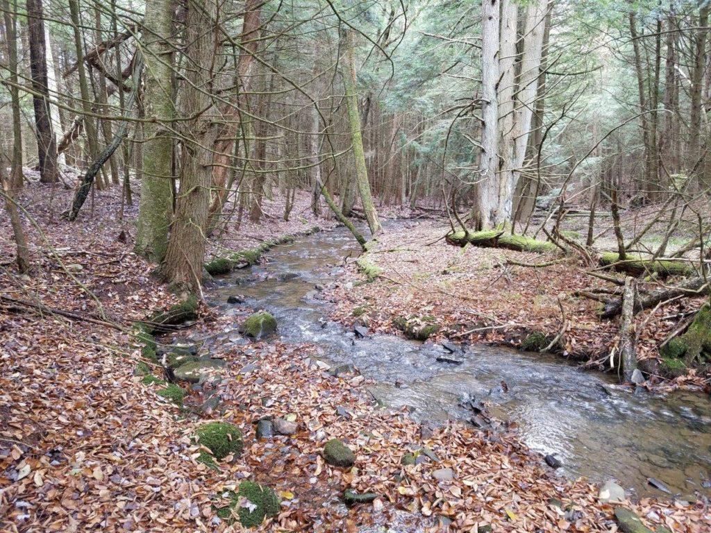 Whitesville, Allegany County, NY Recreational Property, Timberland