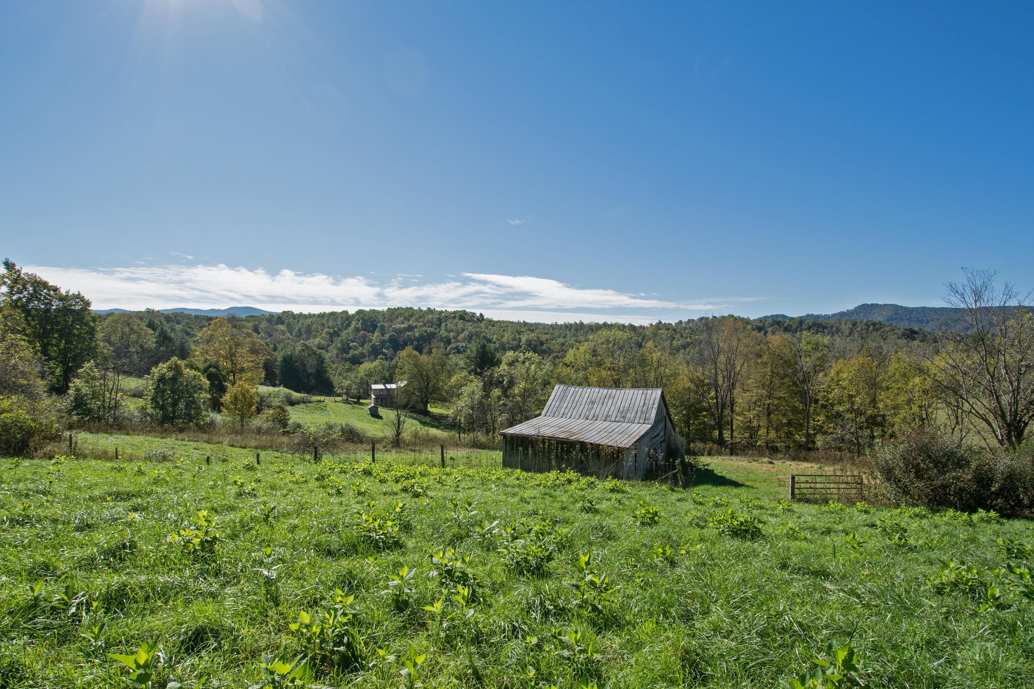 Green Sulphur Springs, Summers County, WV Farms and Ranches, Horse