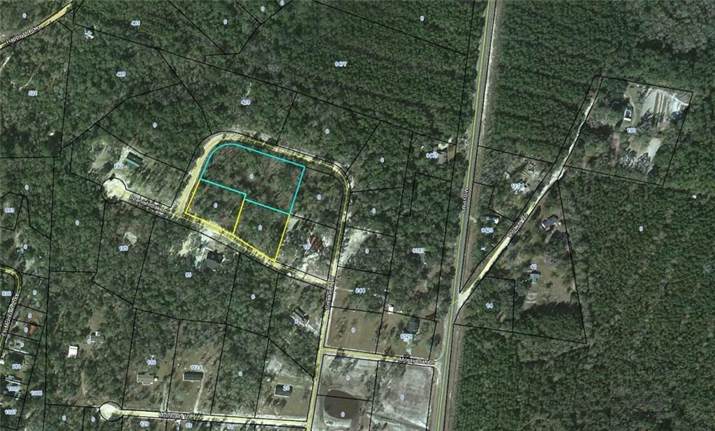 Hortense, Brantley County, GA Undeveloped Land, Homesites for sale