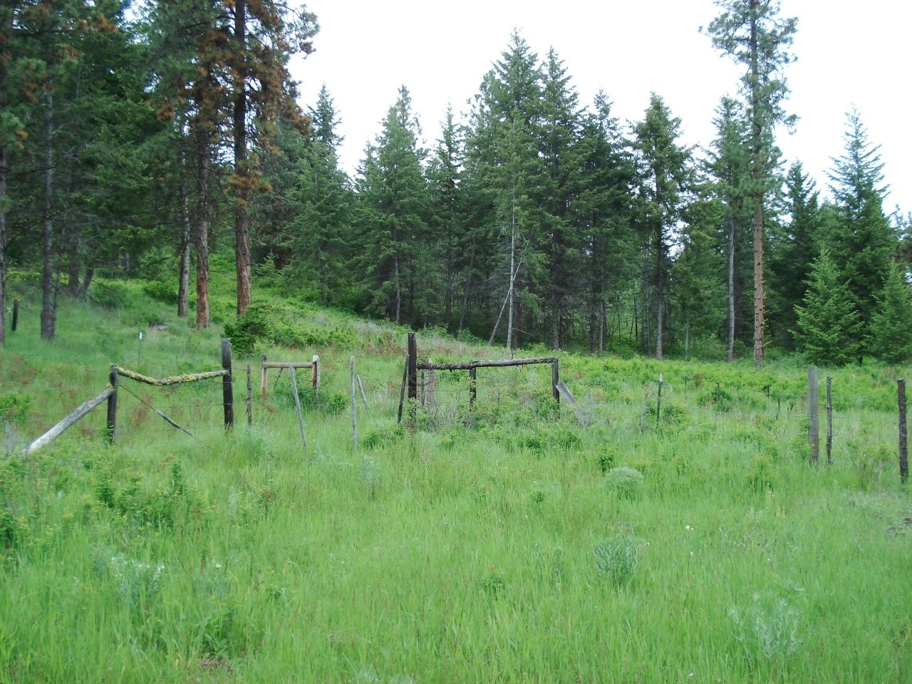 Curlew, Ferry County, WA Undeveloped Land for sale Property ID