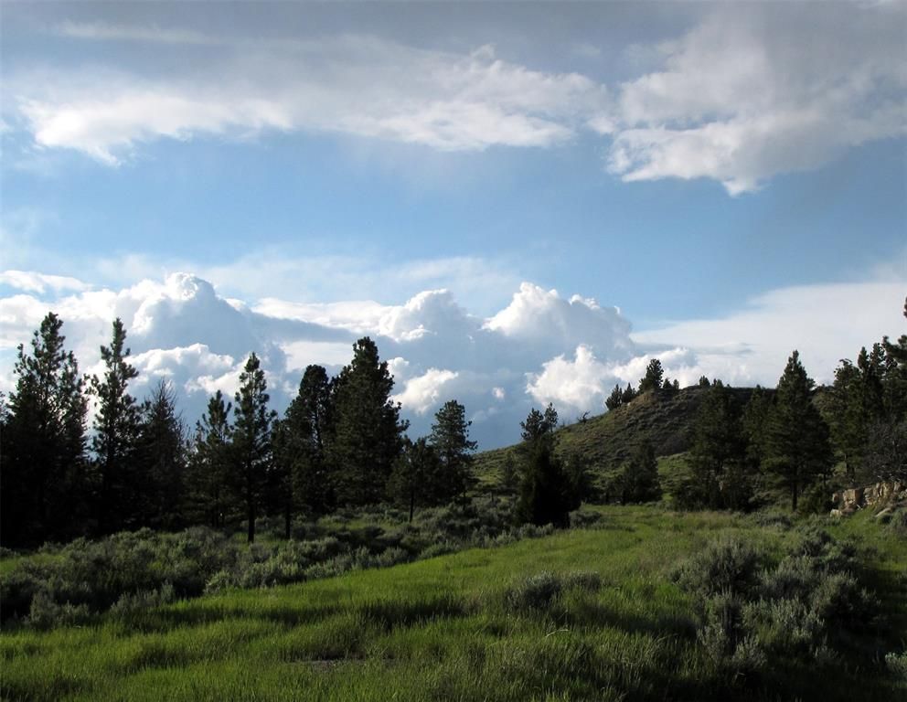 Roundup, Musselshell County, MT Undeveloped Land for sale Property ID