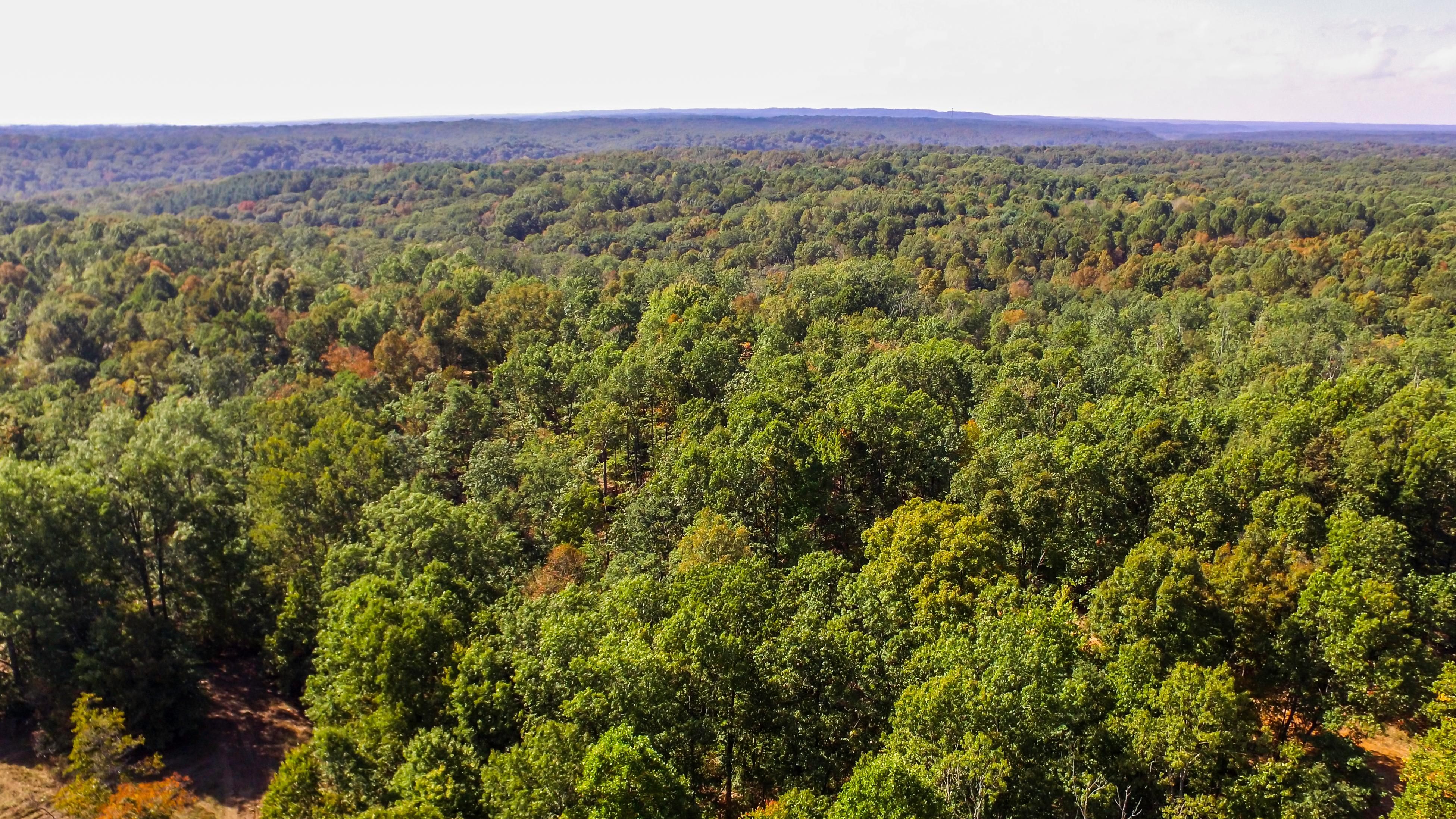Nashville, Brown County, IN Recreational Property, Hunting Property for