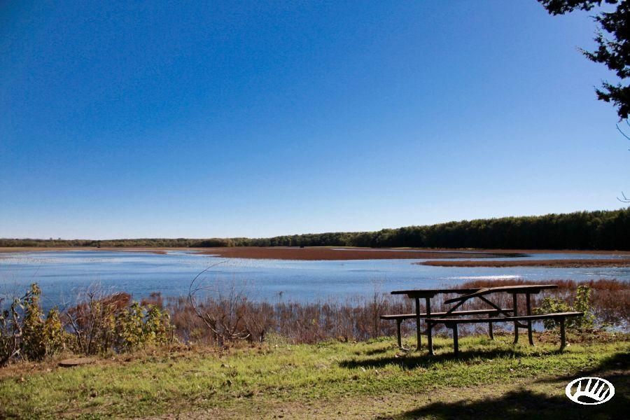 La Salle, LaSalle County, IL Recreational Property, Hunting Property