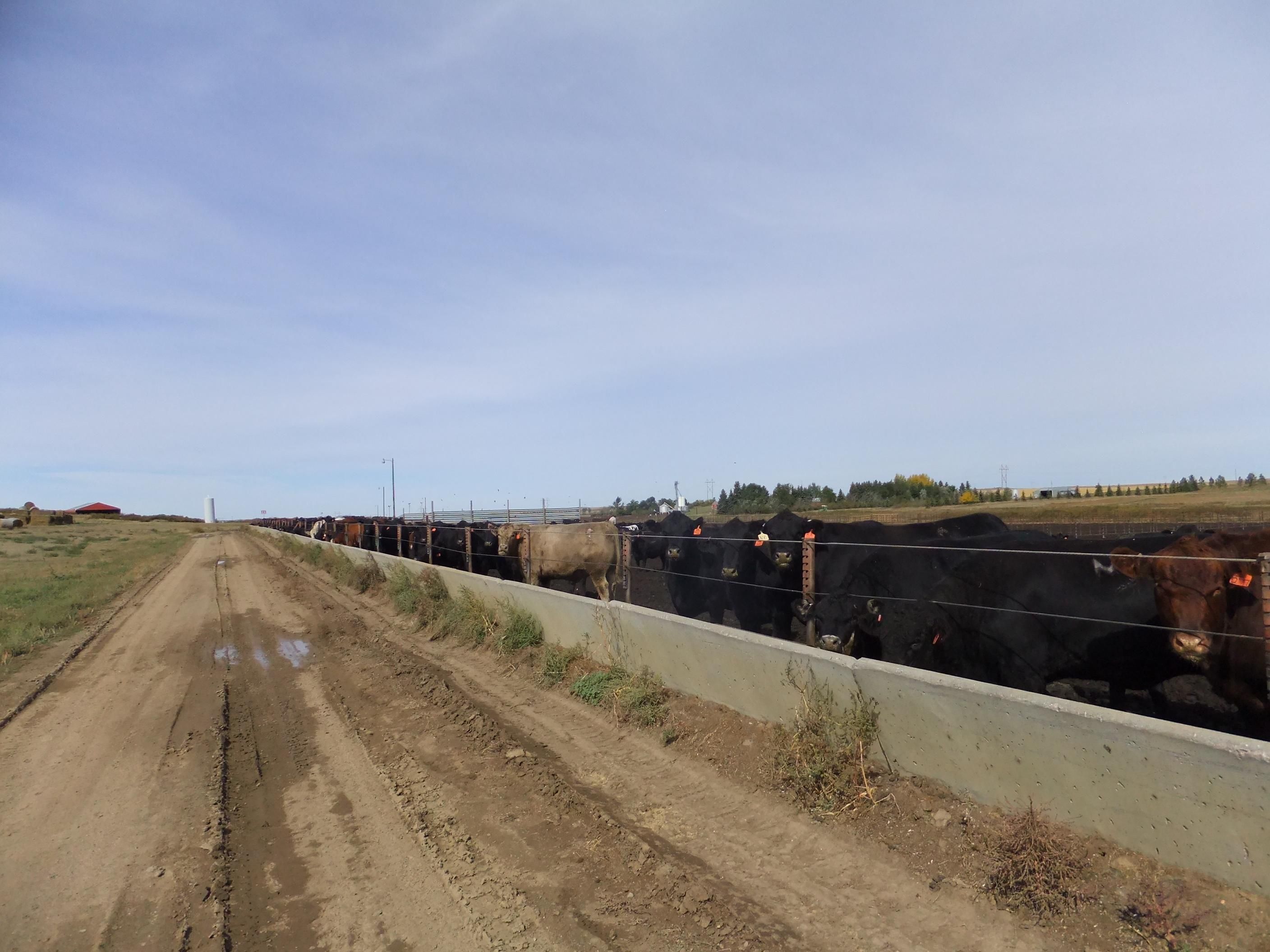 637 acres in Hettinger, ND, 58639 MLS Lesh101518 LandWatch