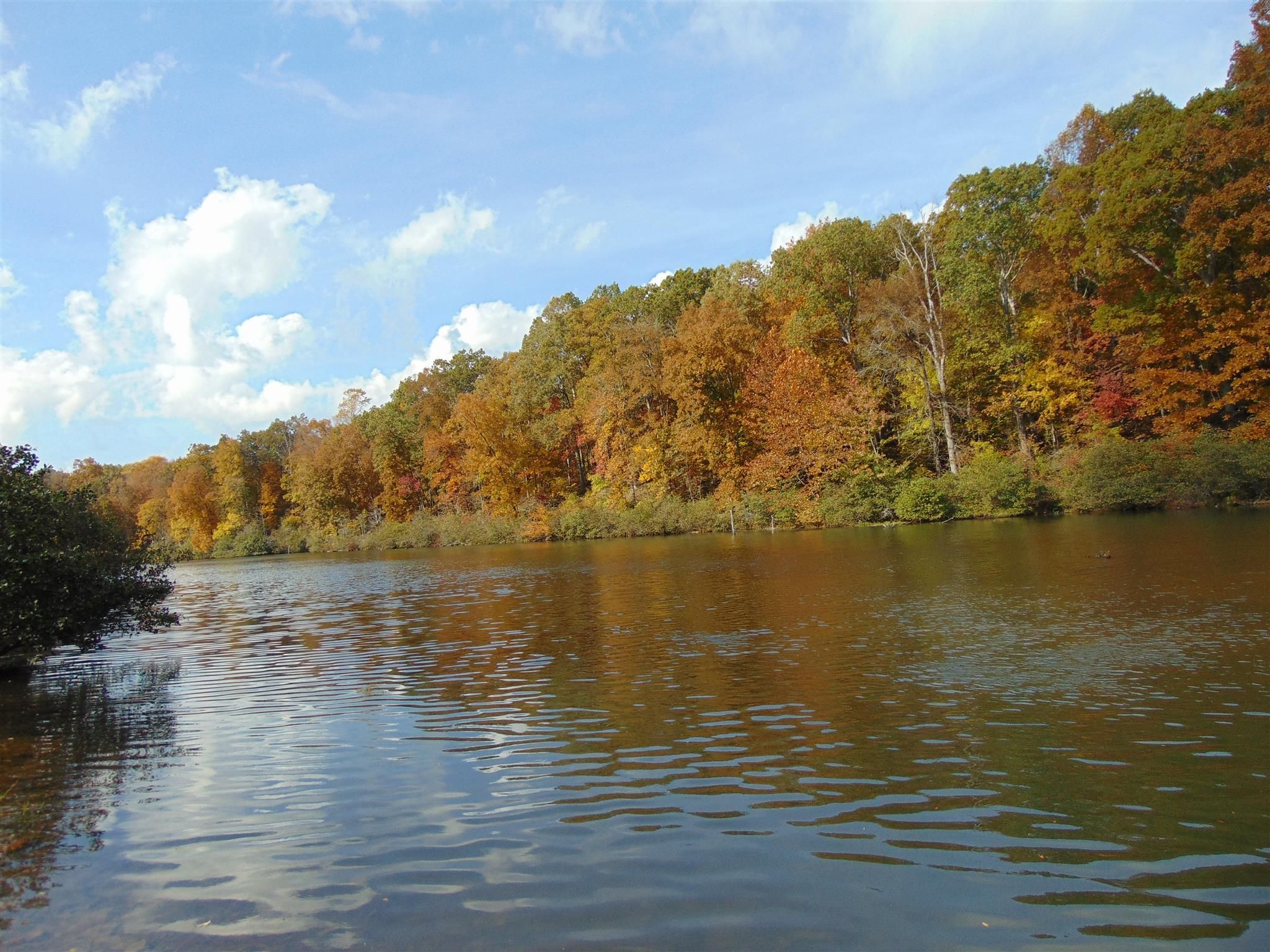 Summertown, Lawrence County, TN Undeveloped Land, Homesites for sale