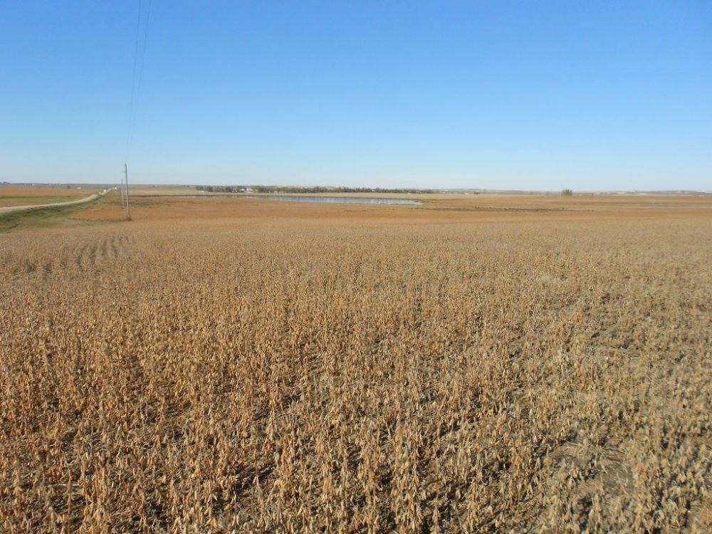 239 acres in Kulm, ND, 58440 LandWatch