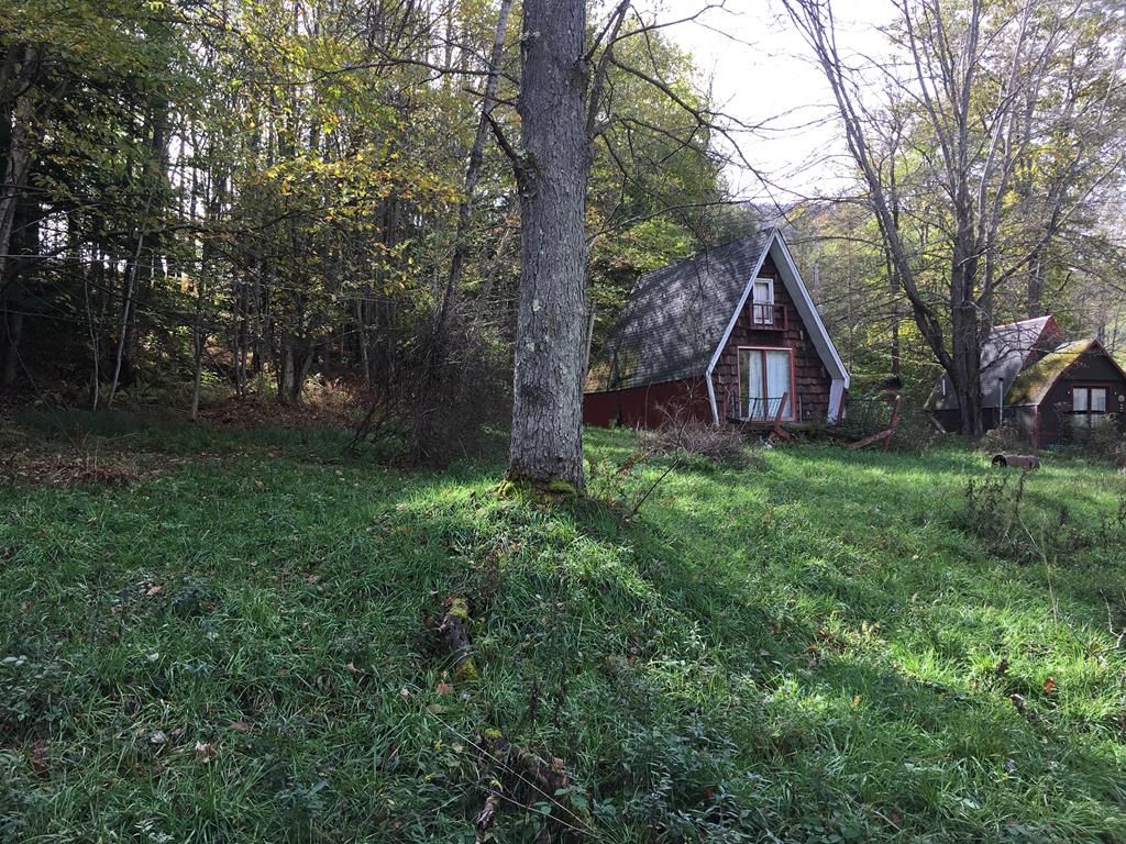 Genesee, Potter County, PA House for sale Property ID 333306282