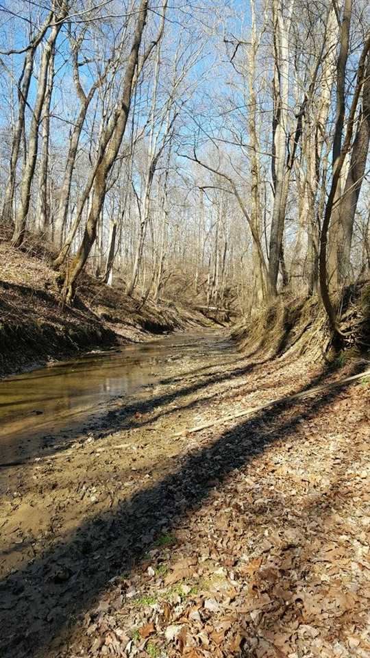 New Harmony, Posey County, IN Undeveloped Land for sale Property ID