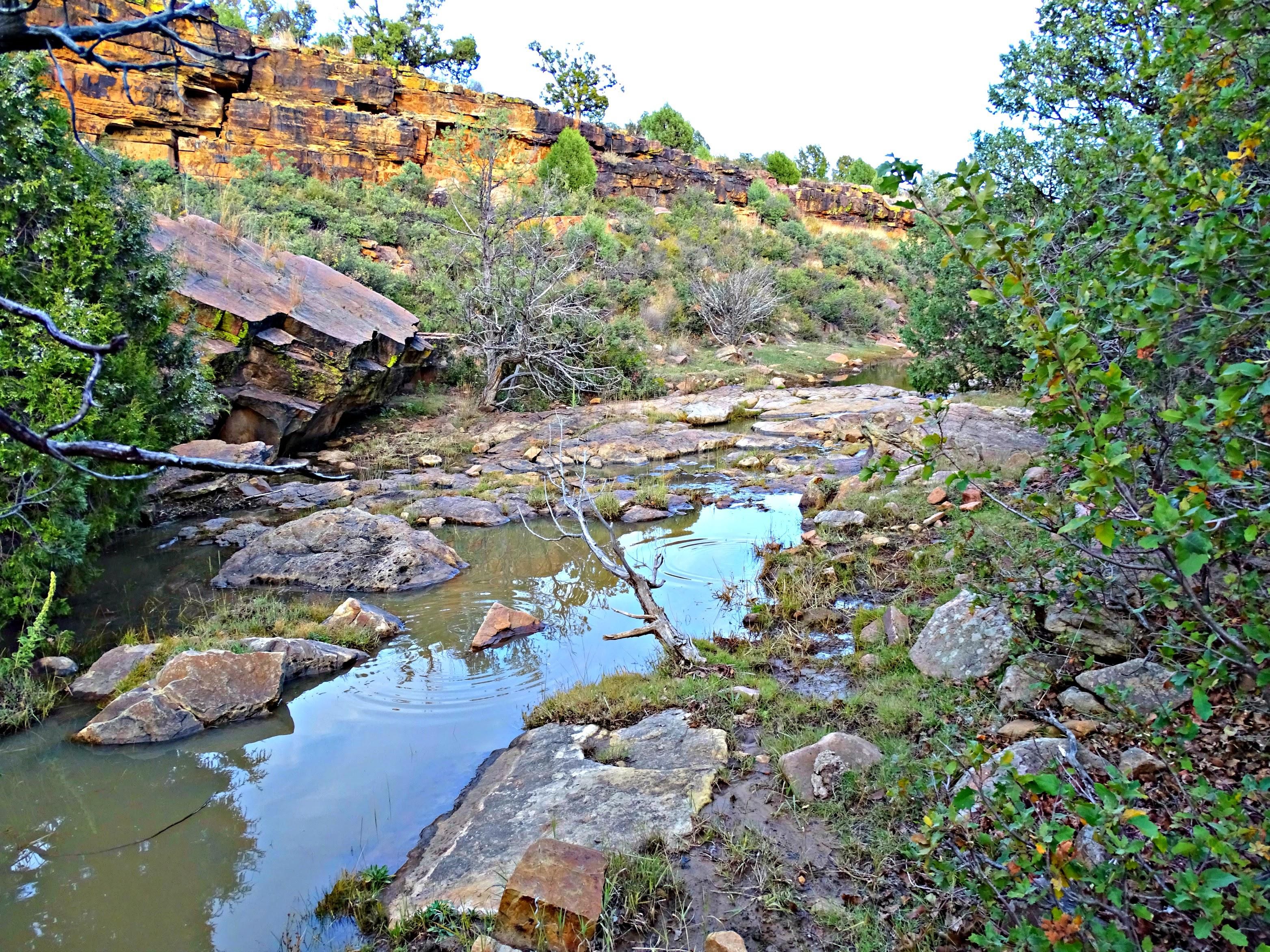 Roy, Harding County, NM Farms and Ranches, Recreational Property