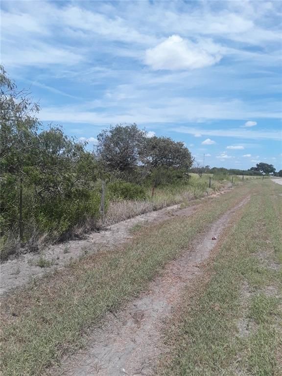 Skidmore, Bee County, TX Homesites for sale Property ID 333312473