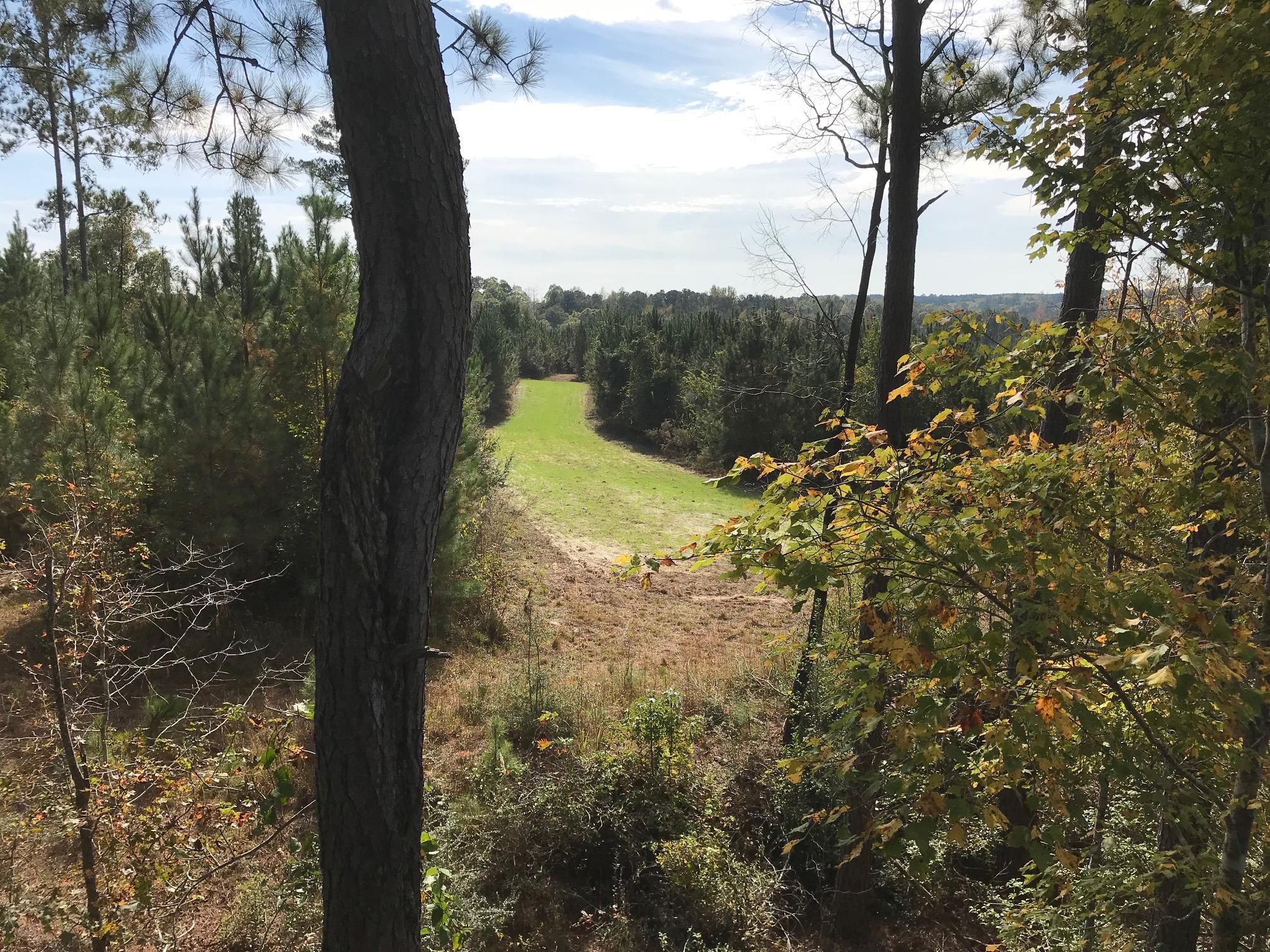 Dozier, Covington County, AL Recreational Property, Timberland Property
