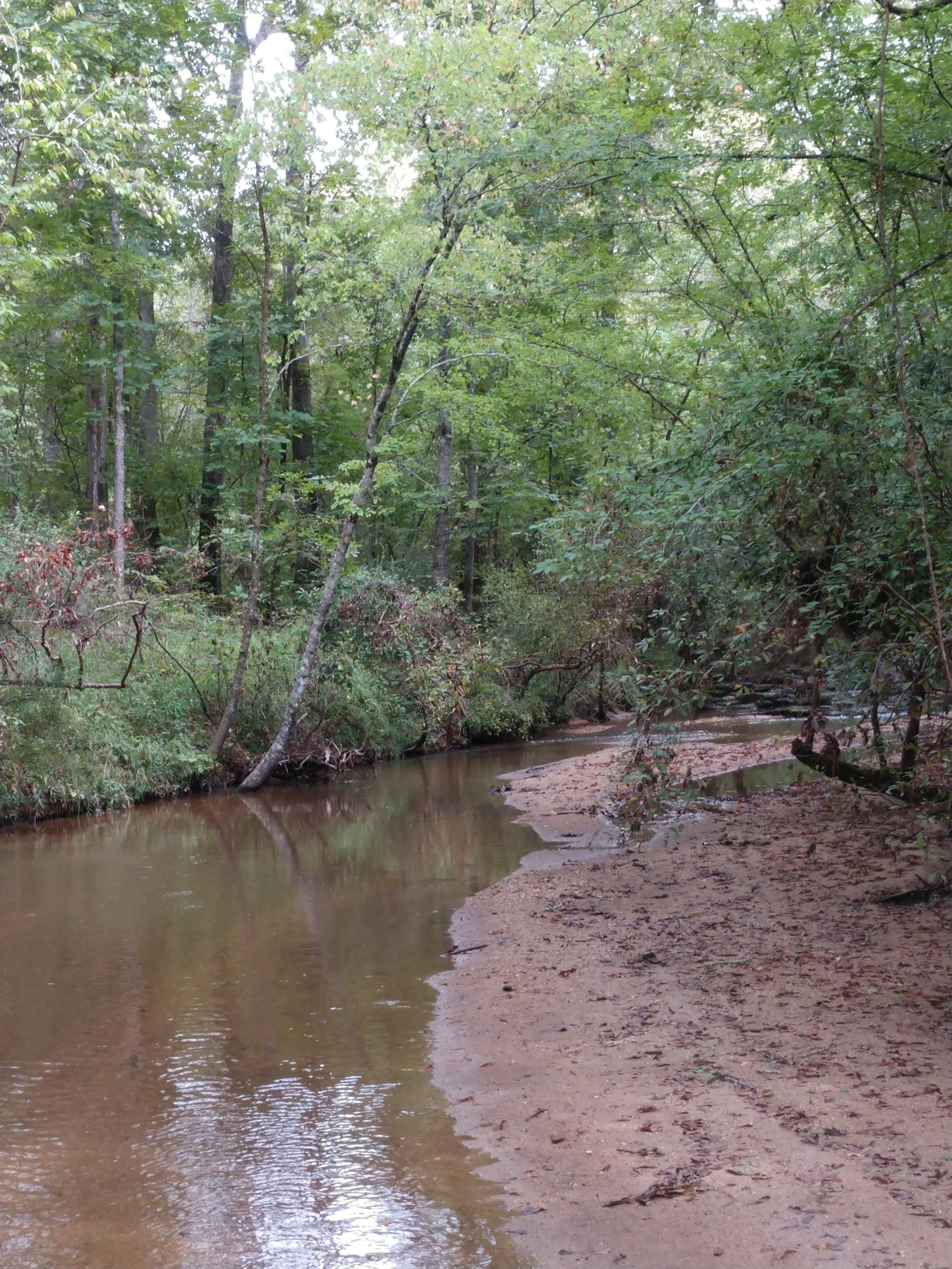 Titus, Elmore County, AL Timberland Property, Hunting Property for sale