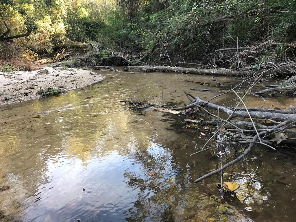 Silver Creek, Lawrence County, MS Lakefront Property, Waterfront