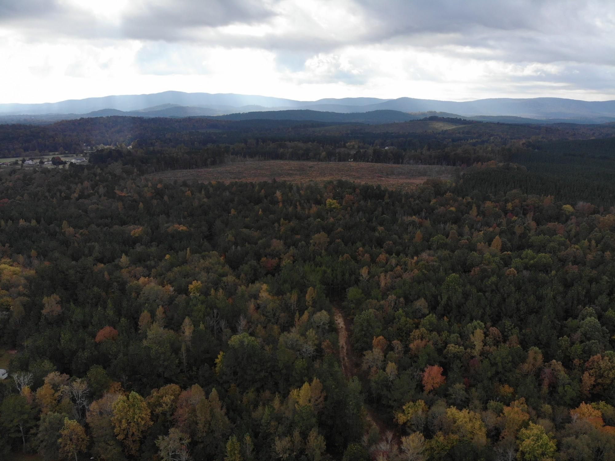 Piedmont, Calhoun County, AL Recreational Property, Timberland Property