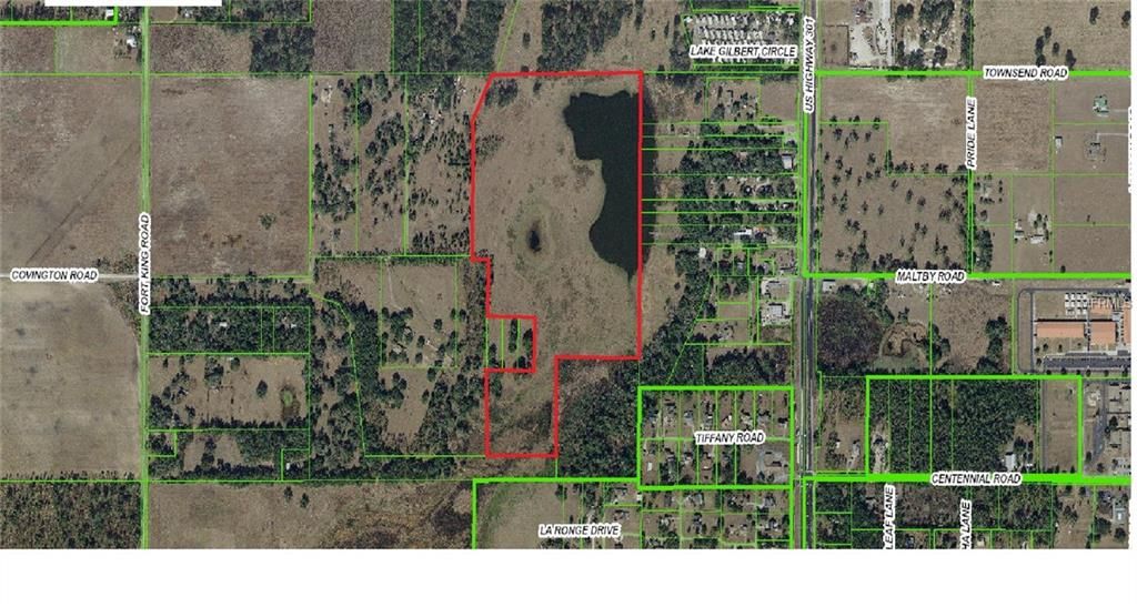 Dade City, Pasco County, FL Undeveloped Land for sale Property ID